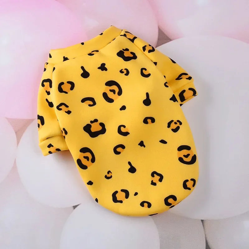 CozyPaw Mini Winter Jumper