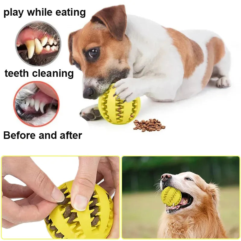 Rubber Dog Chew Ball | Dental Cleaning Treat Toy | Interactive Toy for Aggressive Chewers