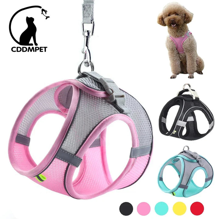Dog Harness & Lead Set | Adjustable Fit | Breathable Vest | Reflective Outdoor Walking Set