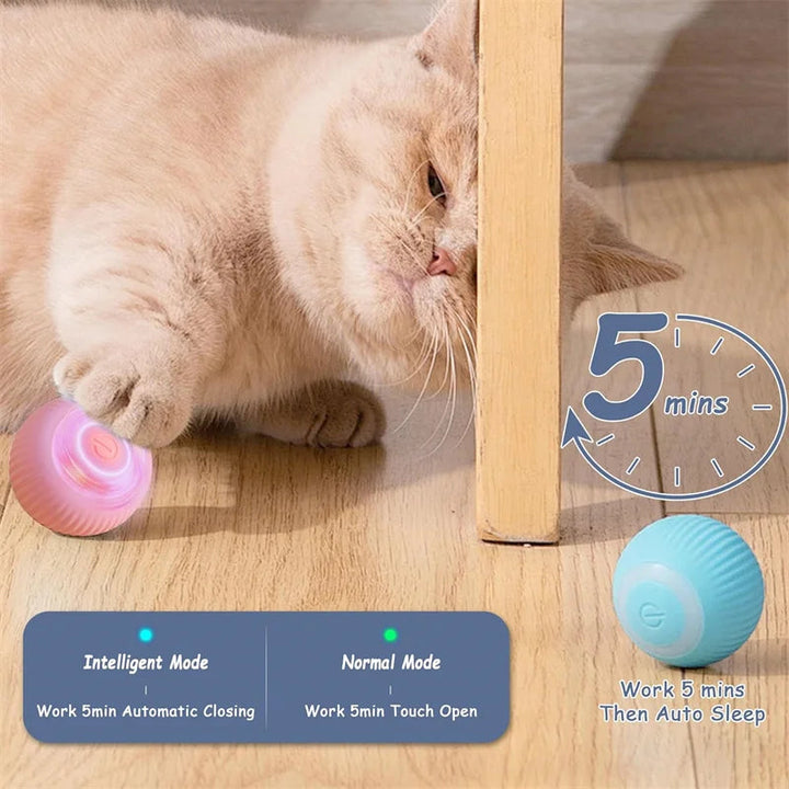 Interactive Smart Dog Ball | Automatic Rechargeable Toy | Interactive Training & Play Toy