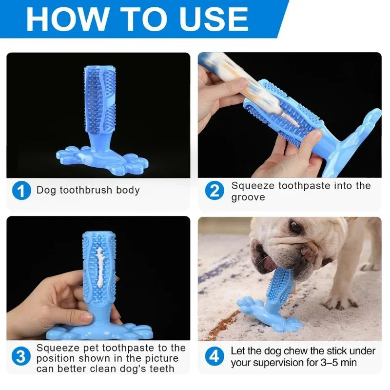 Cactus Dog Chew Toy | Rubber Treat Dispenser | Dental Toothbrush Toy for All Dogs