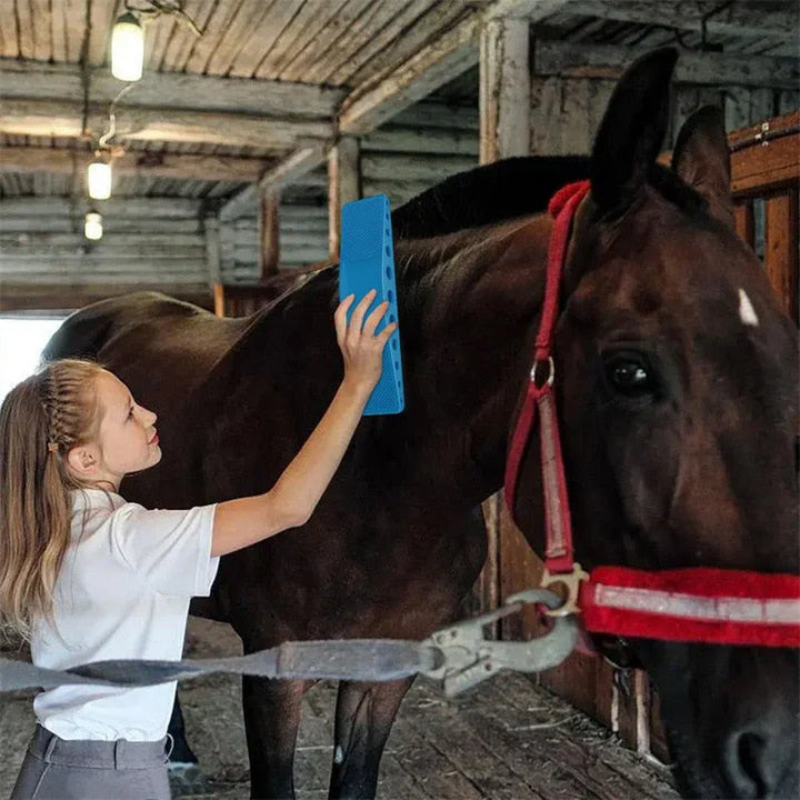 HorseCare Pro 6-in-1 Brush