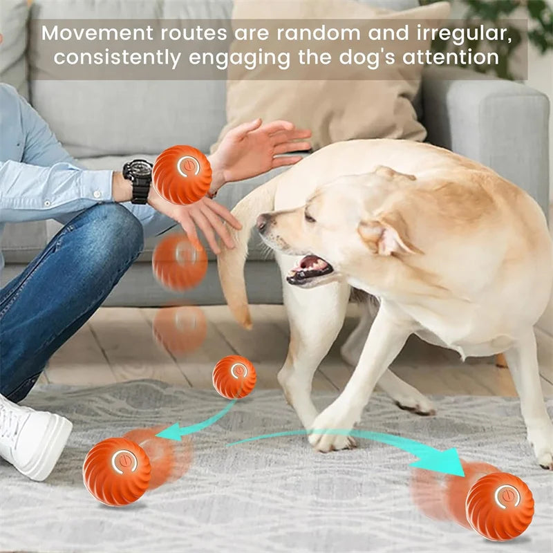 Interactive Smart Dog Ball | Automatic Rechargeable Toy | Interactive Training & Play Toy