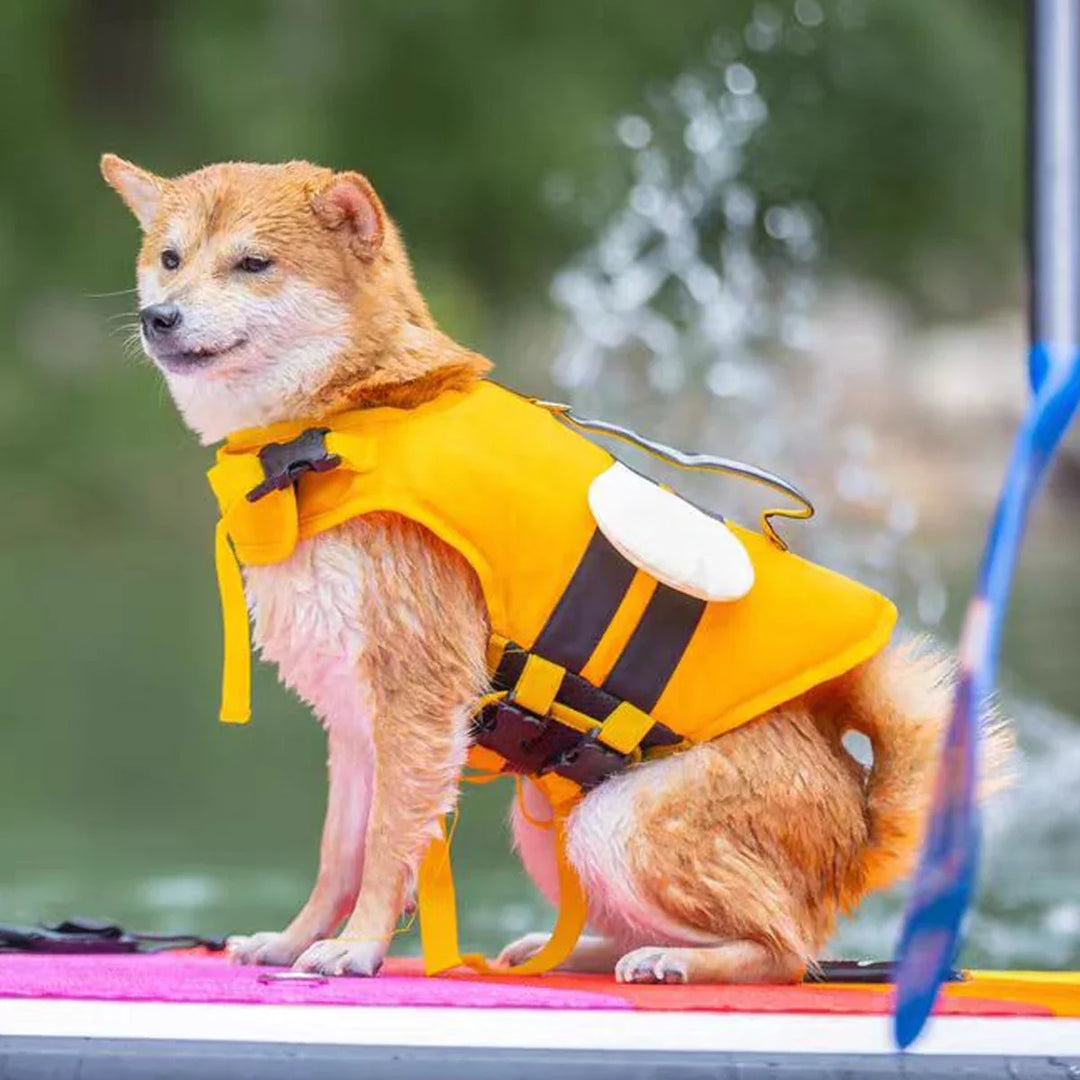 AquaGuard Swim & Safety Vest