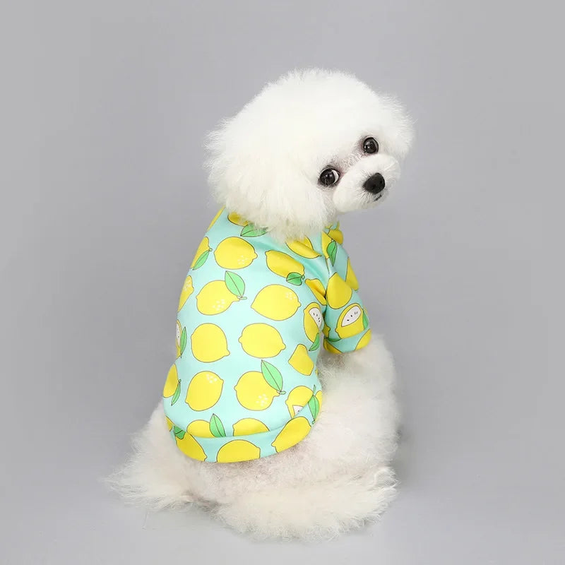 CozyPaw Mini Winter Jumper