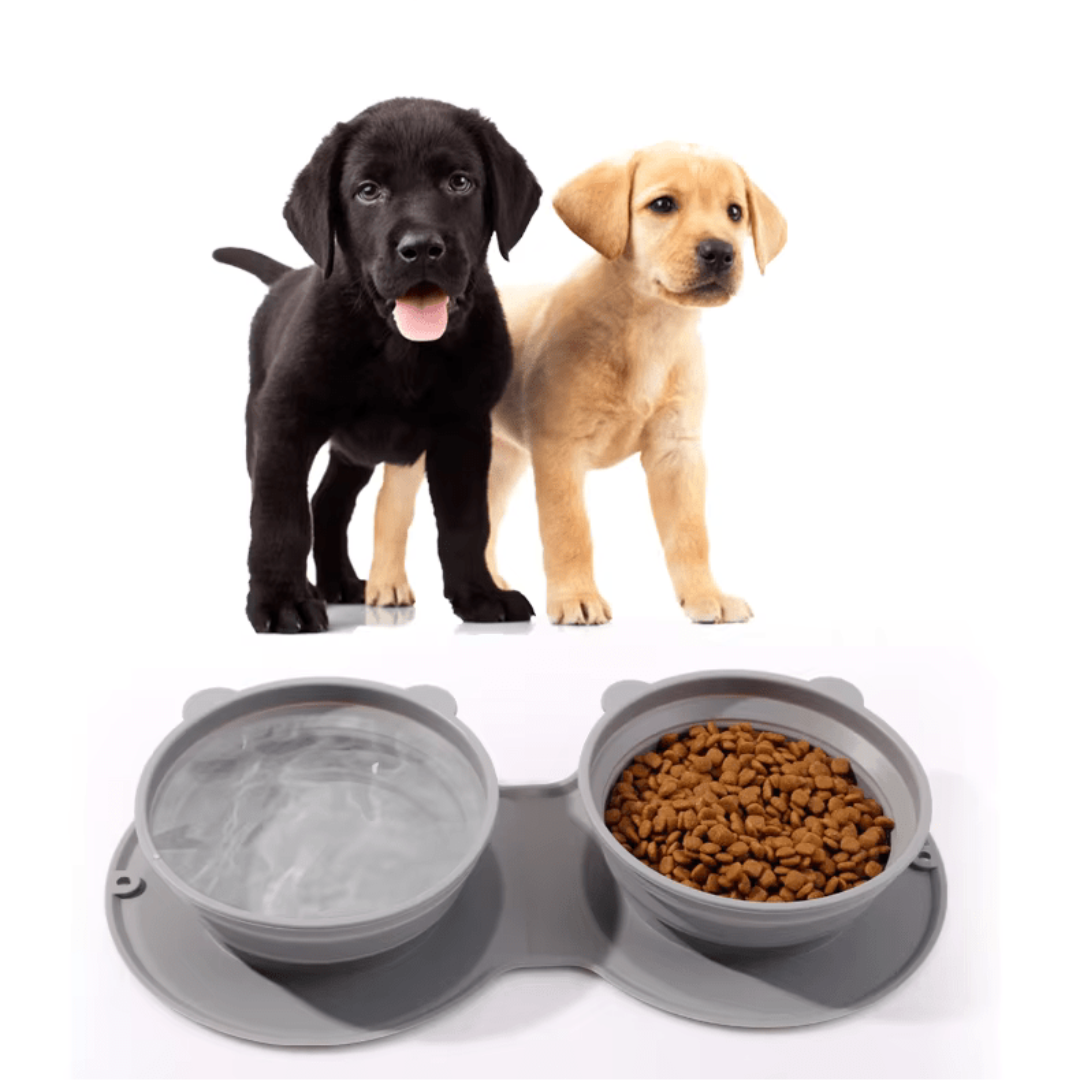 2-in-1 On-the-Go Food Bowl