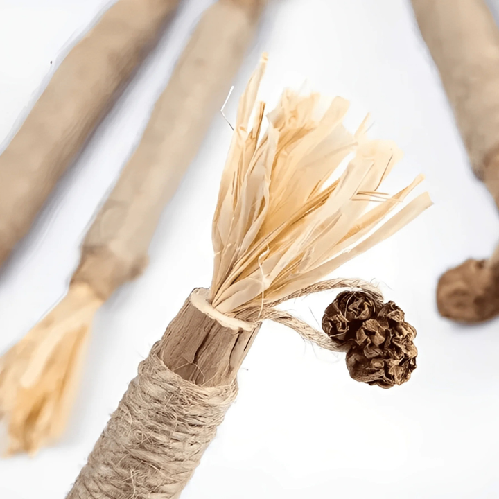 Natural Chewing Sticks for Cats