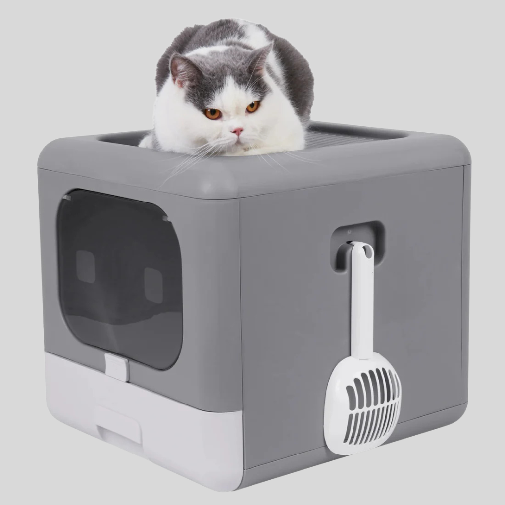 Dual-Entry Enclosed Cat Litter Box