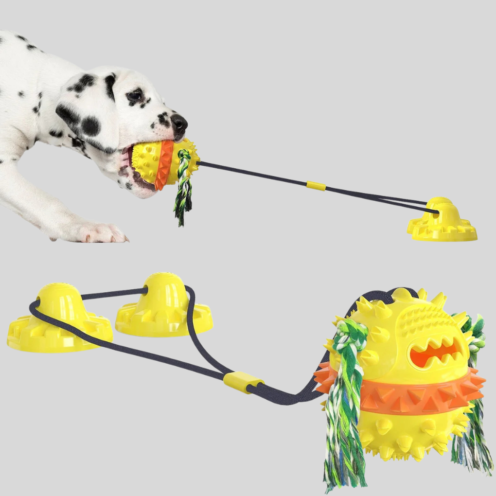 Perfect Play Buddy