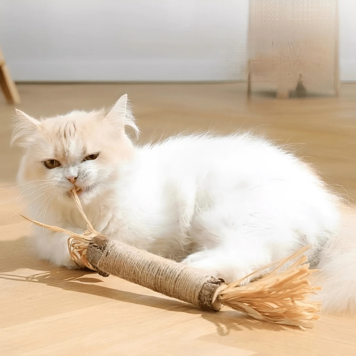 Natural Chewing Sticks for Cats