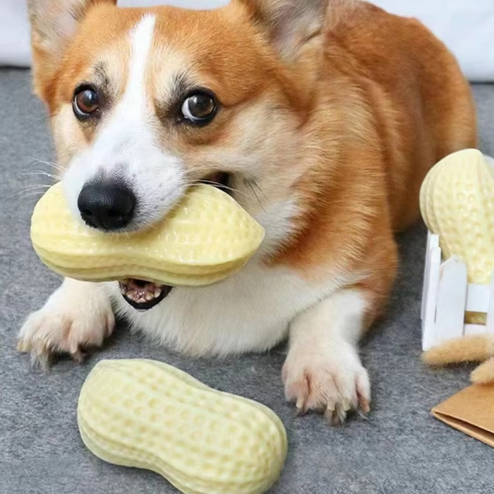 Durable squeaky peanut chew toy for dogs