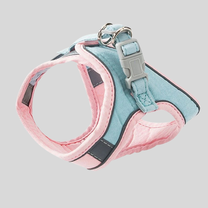 Cat Harness & Leash Set