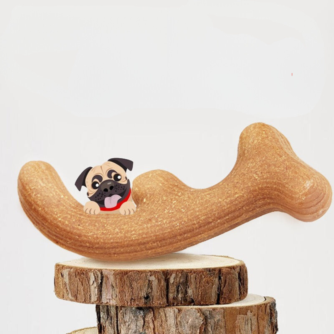 Premium Durable Dog Chew Toy
