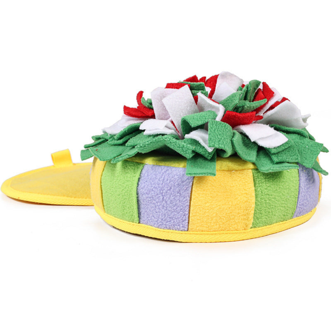 Eco-Friendly Snuffle Box for Pets