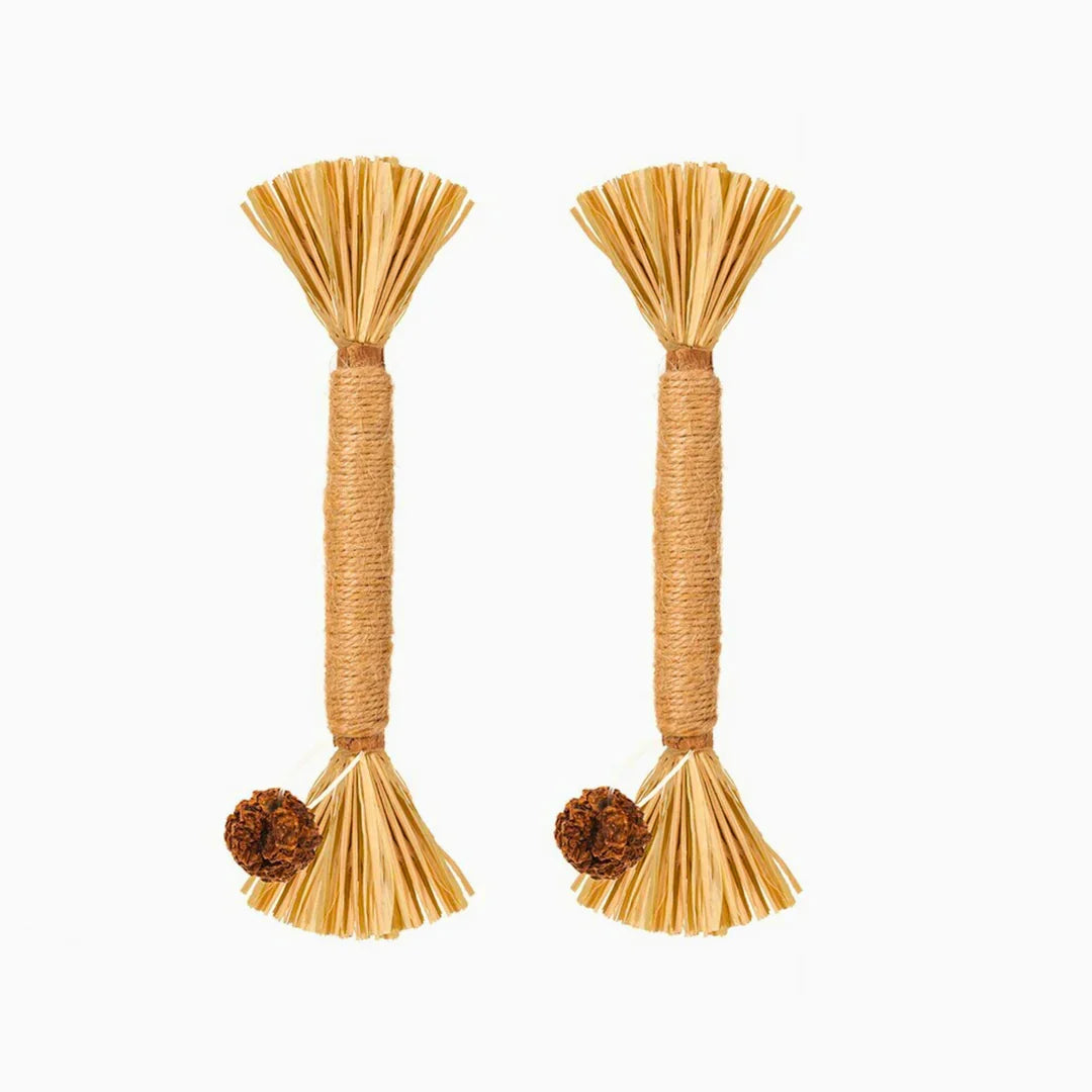 PawBite – Natural Chew Sticks for Cats