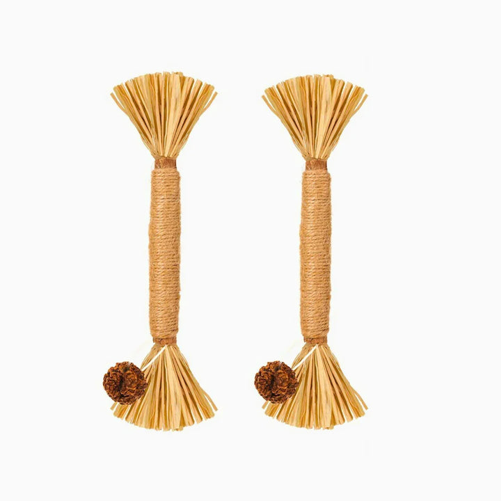 PawBite – Natural Chew Sticks for Cats