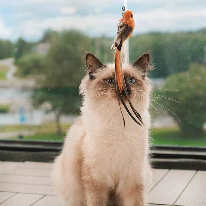 Interactive Cat Toy – FlatterFreund