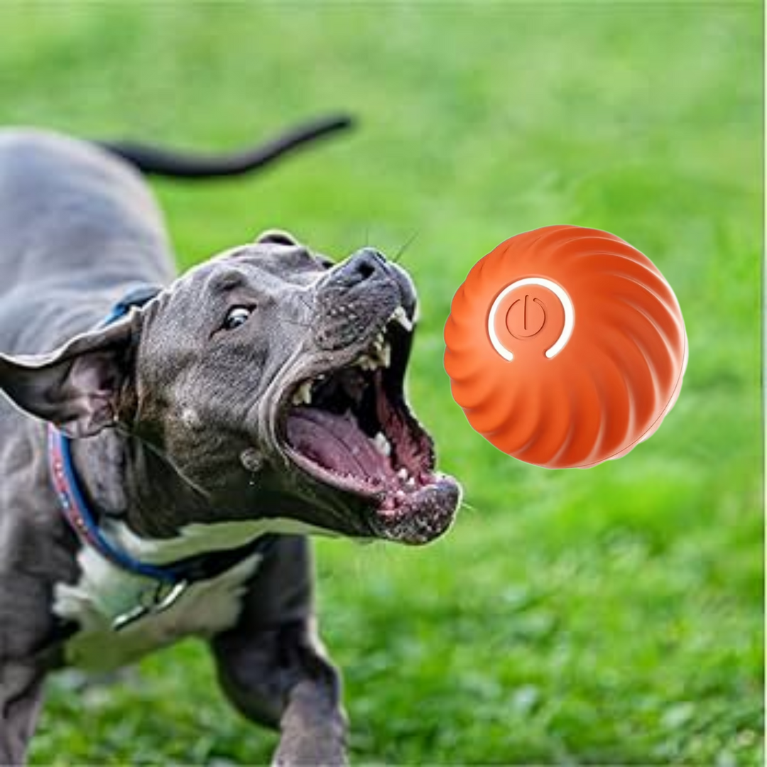 Interactive Smart Dog Ball | Automatic Rechargeable Toy | Interactive Training & Play Toy
