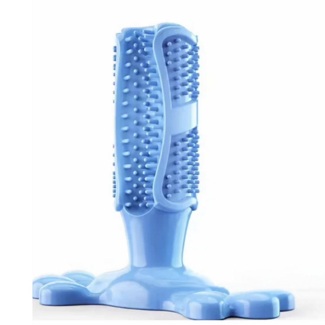 Cactus Dog Chew Toy | Rubber Treat Dispenser | Dental Toothbrush Toy for All Dogs