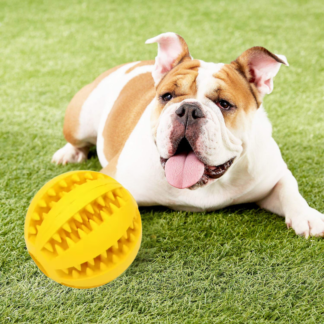 Rubber Dog Chew Ball | Dental Cleaning Treat Toy | Interactive Toy for Aggressive Chewers