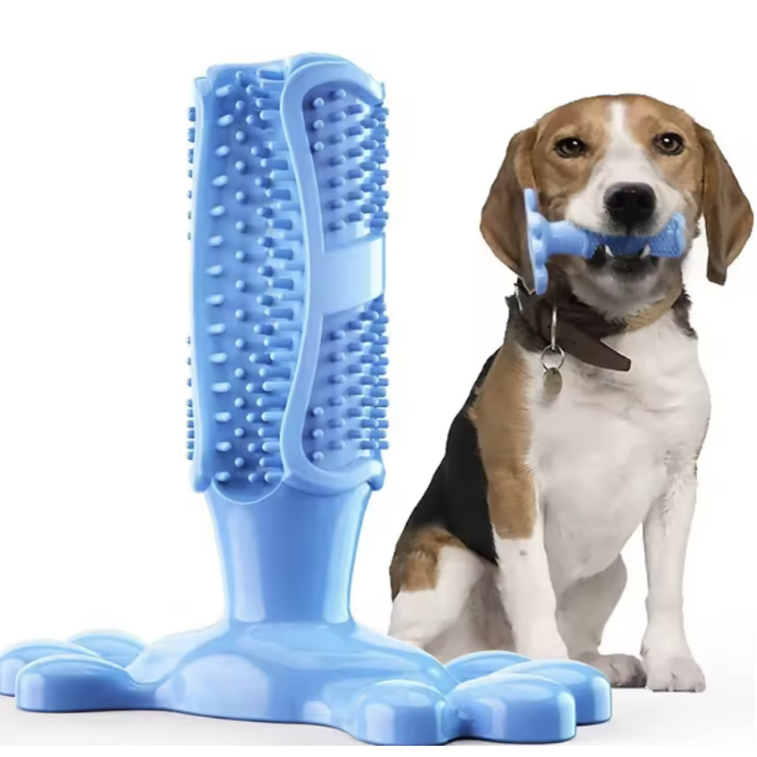Cactus Dog Chew Toy | Rubber Treat Dispenser | Dental Toothbrush Toy for All Dogs