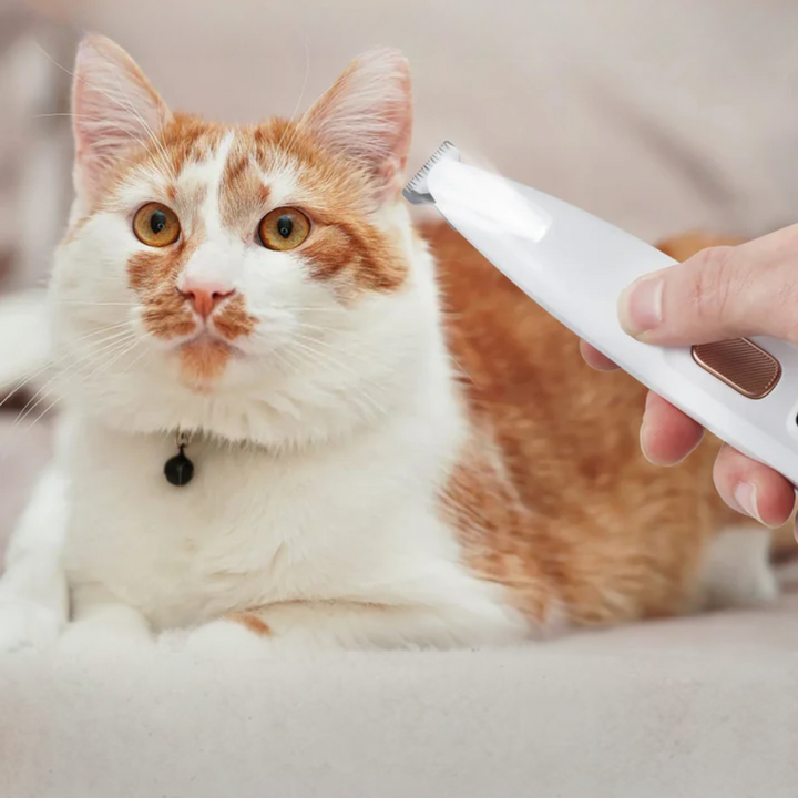 Waterproof Pet Paw Trimmer | LED Display Pet Hair Clippers | 1.8 cm Precision Grooming Blade