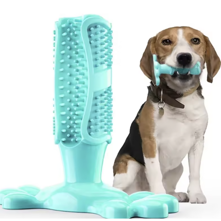 Cactus Dog Chew Toy | Rubber Treat Dispenser | Dental Toothbrush Toy for All Dogs