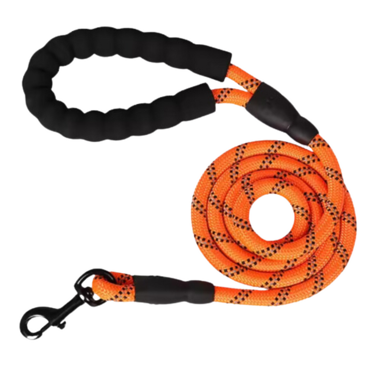 Reflective Dog Lead | Heavy Duty Nylon | Padded Handle
