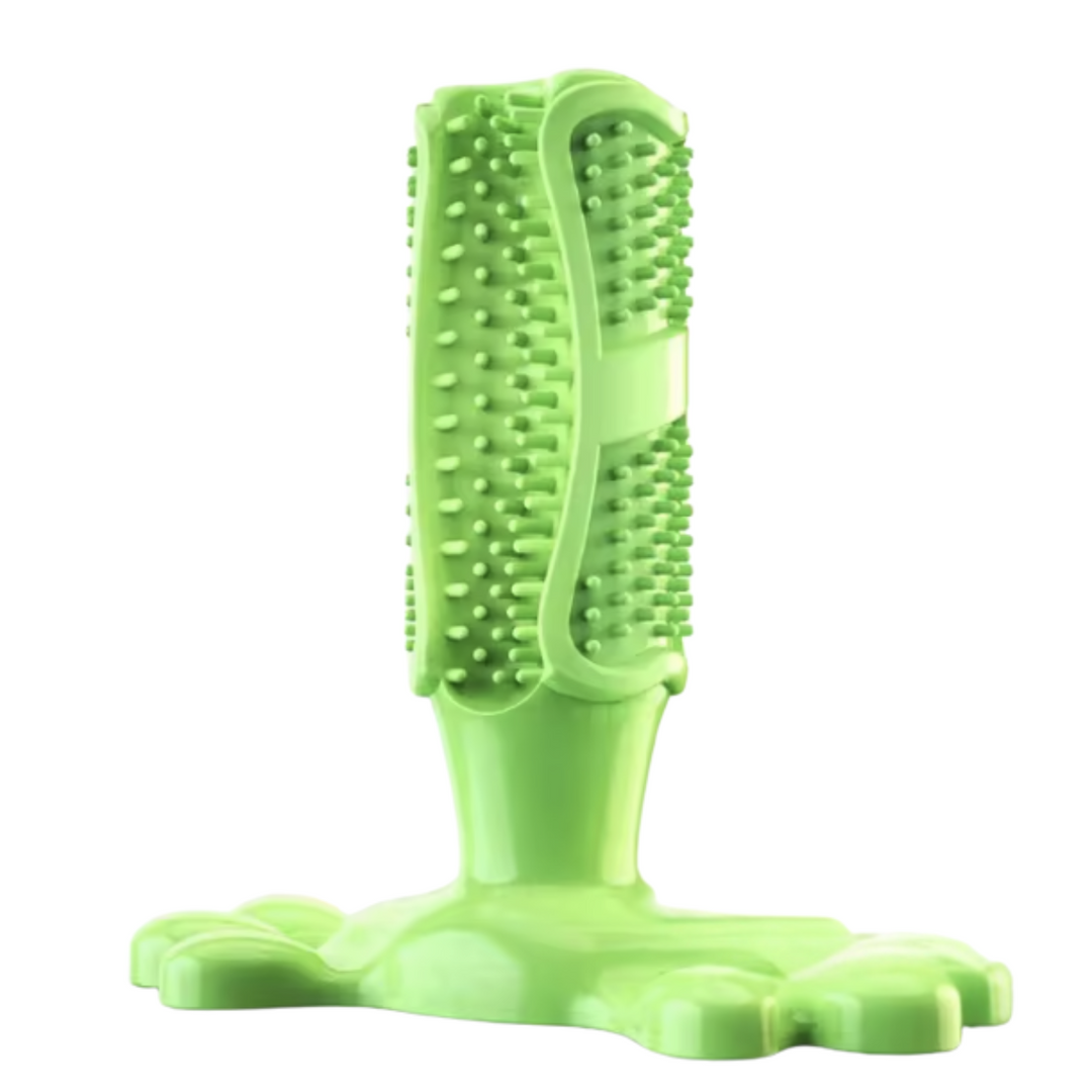 Cactus Dog Chew Toy | Rubber Treat Dispenser | Dental Toothbrush Toy for All Dogs