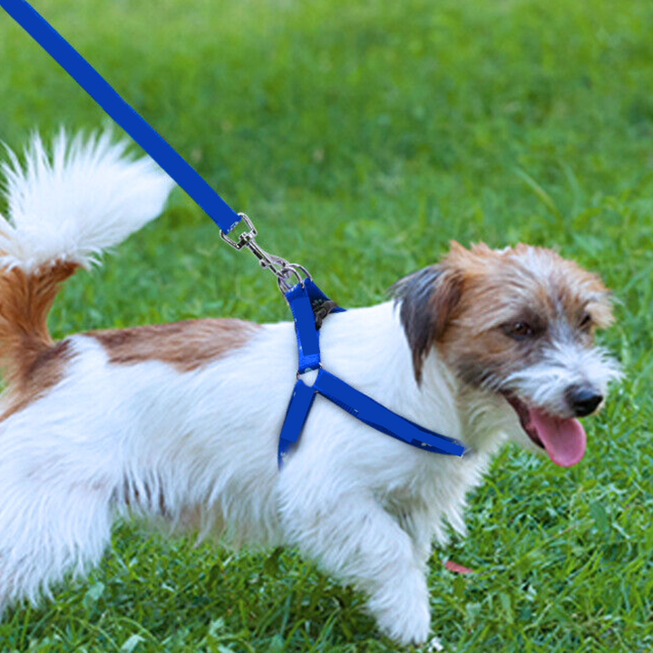 Reflective Dog Lead | Heavy Duty Nylon | Padded Handle