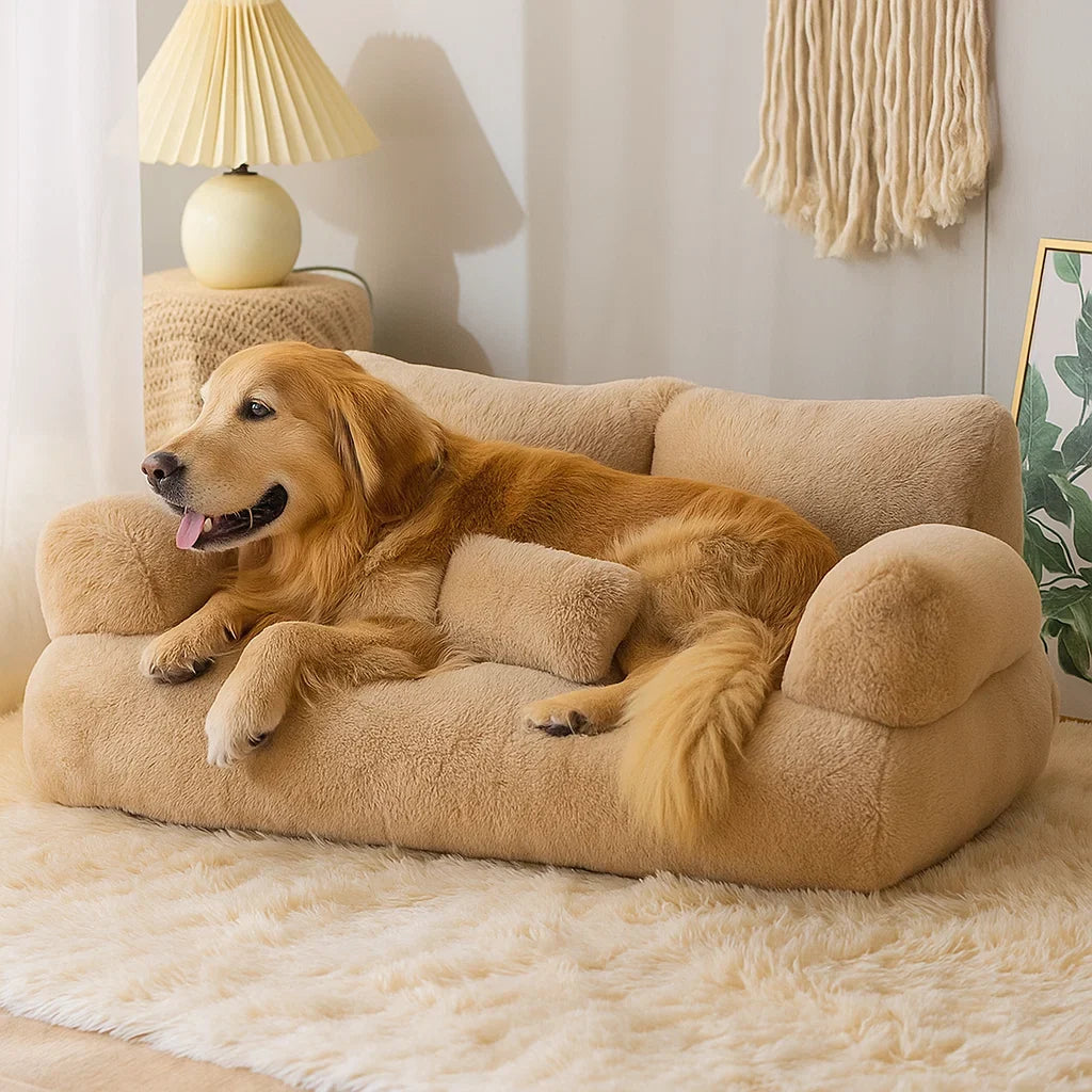 Dream Lounge – Dog sofa with comfort and style