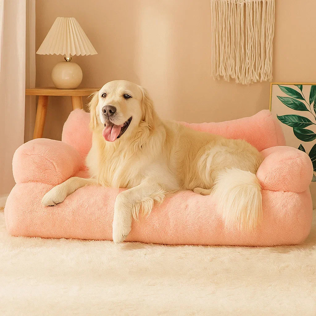 Dream Lounge – Dog sofa with comfort and style