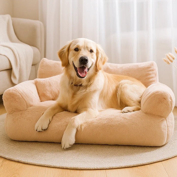 Dream Lounge – Dog sofa with comfort and style