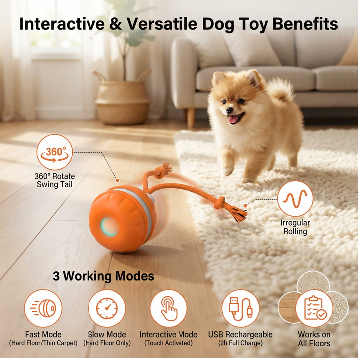Durable Dog Play Ball with Motion Sensor and Tug Rope in Dog-Friendly Colours