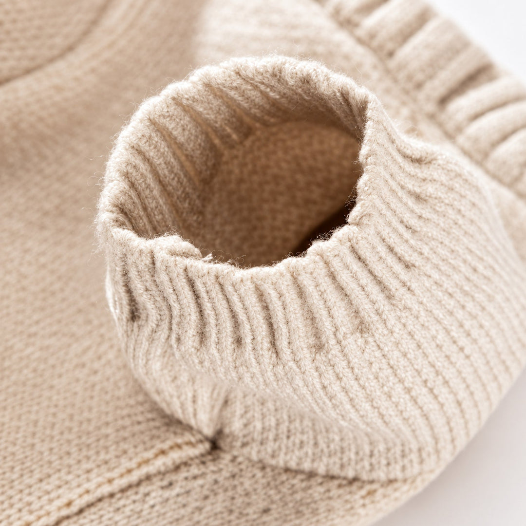 Lion Dog Jumper | Cosy Autumn & Winter Wear