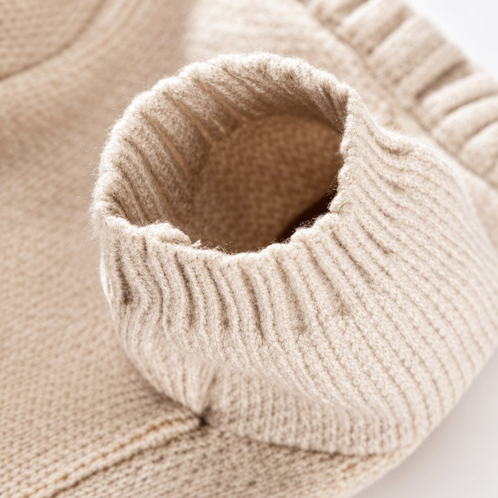 Lion Dog Jumper | Cosy Autumn & Winter Wear