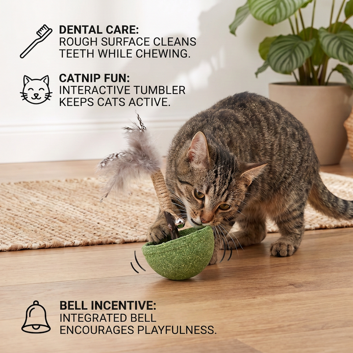 Teeth Cleaning Catnip Tumbler Cat Toy – Interactive Feather Teaser with Bell