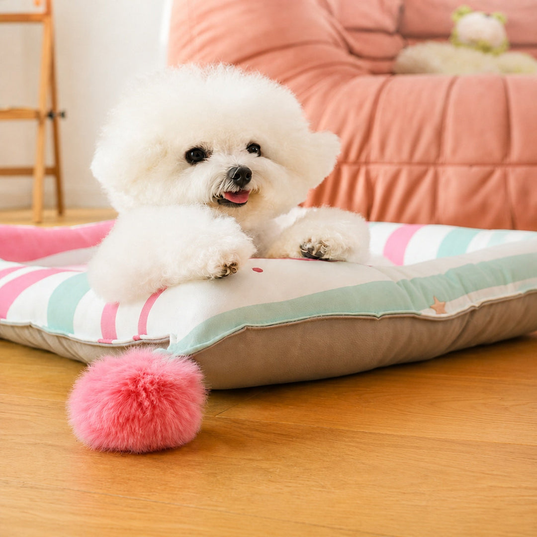 Dog Bed & Cat Bed | Playful Pals Pet Mat | Padded Sides & Waterproof Non-Slip Base