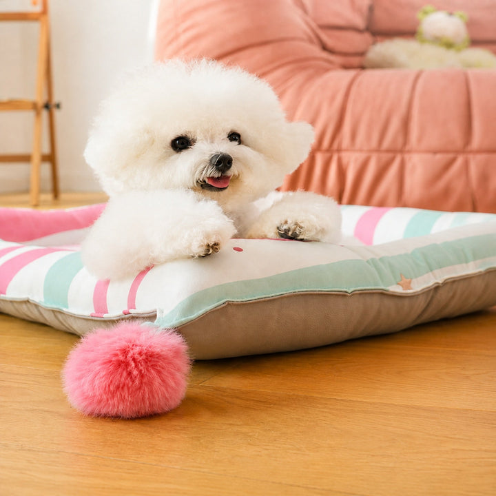 Dog Bed & Cat Bed | Playful Pals Pet Mat | Padded Sides & Waterproof Non-Slip Base