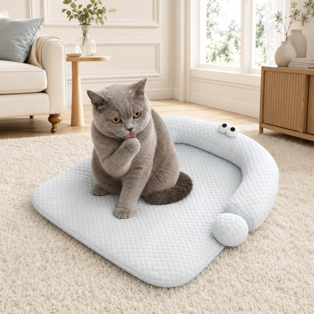 Dog Bed & Cat Bed | Question Mark Cooling Pet Mat | Breathable & Washable
