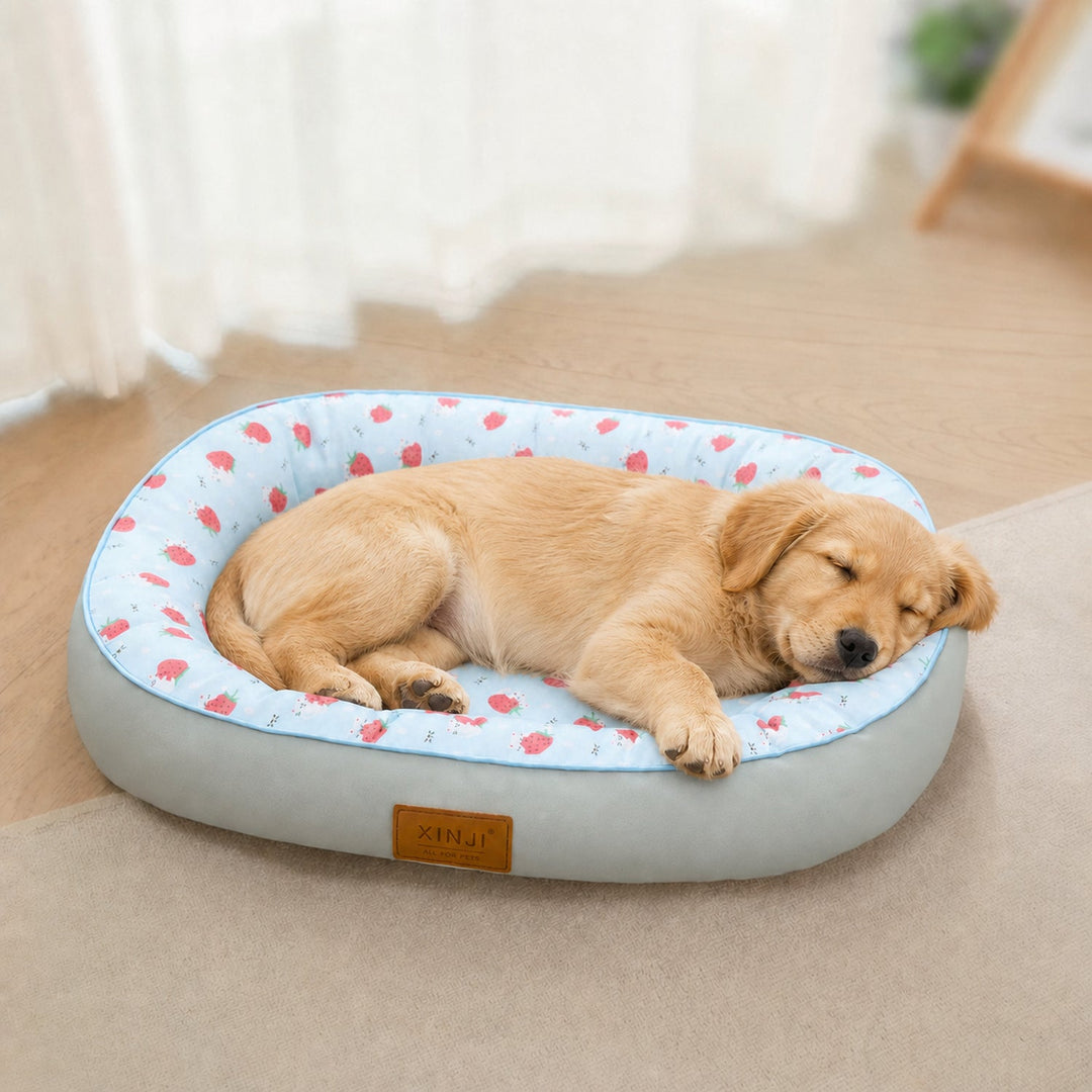 Dog Bed & Cat Bed | Strawberry Design | Cushioned Sides & Waterproof Non-Slip Base