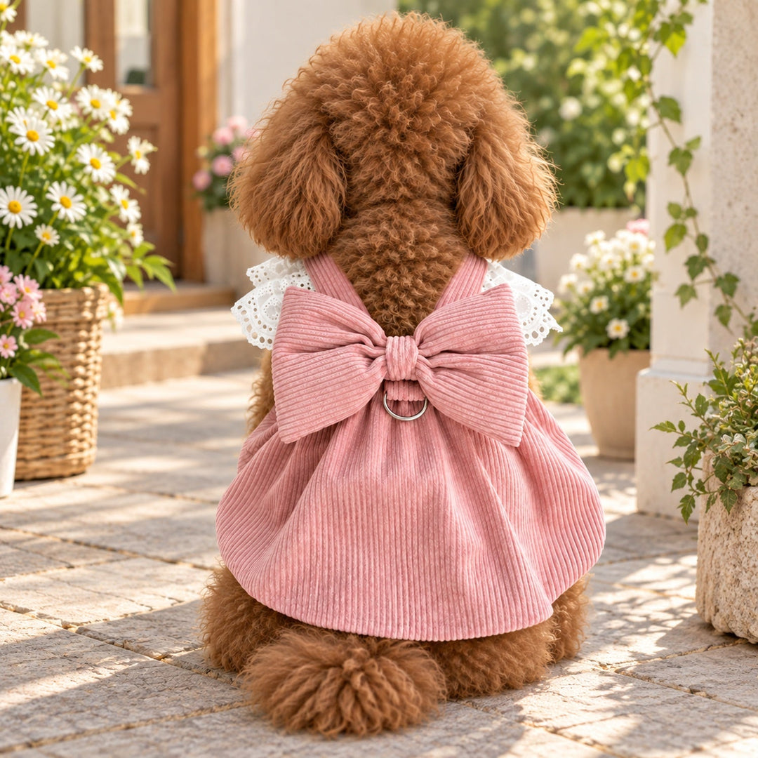 Belle Bow Dog Dress | Corduroy with Lace Trim & Lead Attachment Ring