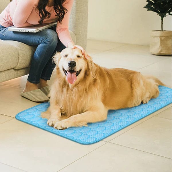 Dog Cooling Mat | Self Cooling Pad for Dogs | Breathable Summer Bed | No Water or Electricity Needed | Indoor & Outdoor