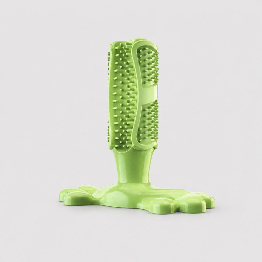Cactus Dog Chew Toy | Rubber Treat Dispenser | Dental Toothbrush Toy for All Dogs