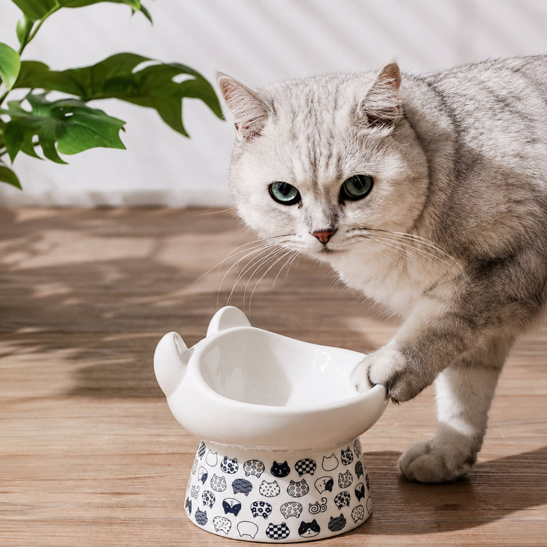 Raised Ceramic Cat Bowl | Japanese-Style 300 ml Feeder | Stable Easy-Clean Design