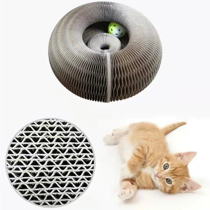 Active Fun for Your Cat – PurrPlay