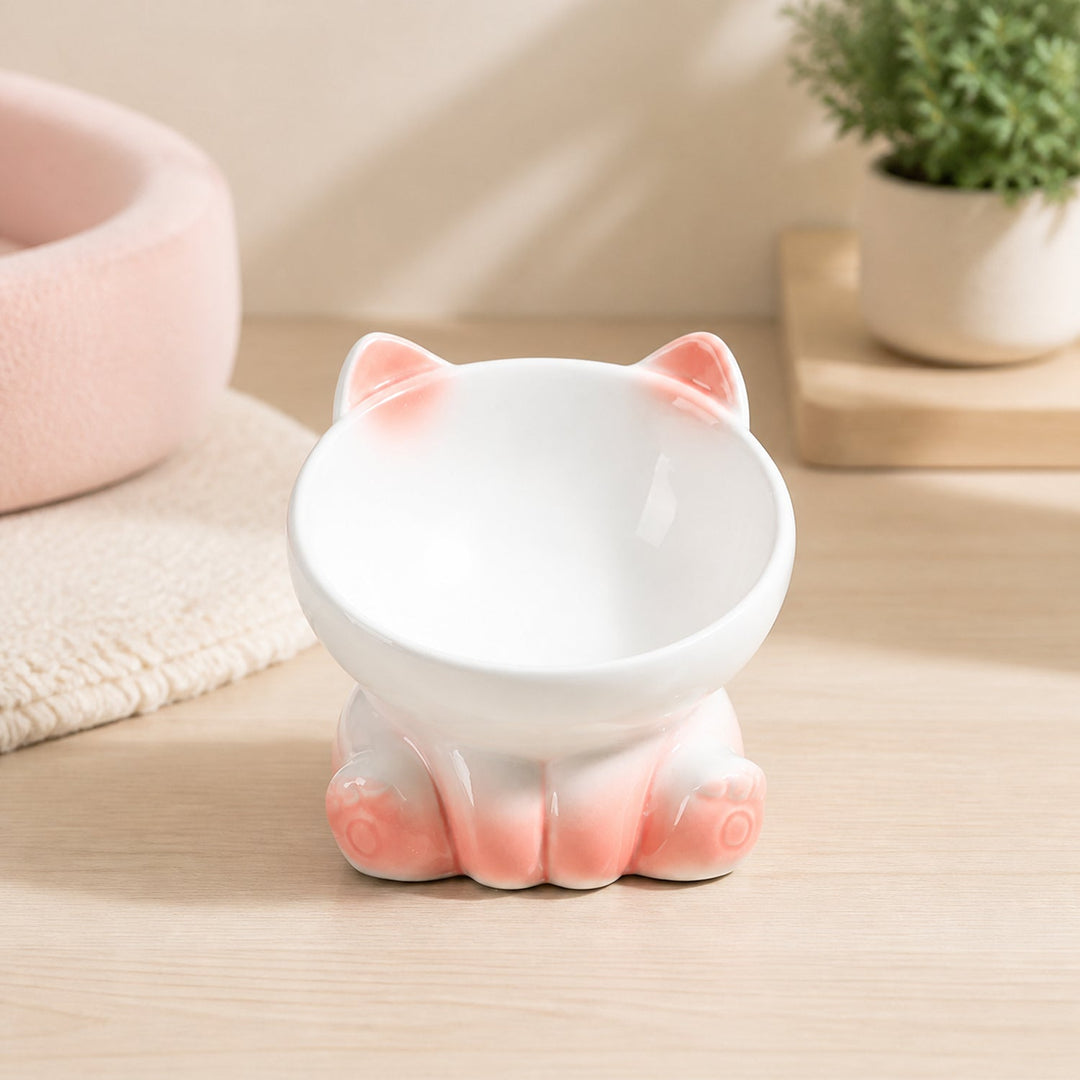 Raised Ceramic Cat Bowl | 15° Tilted Whisker-Friendly Feeder