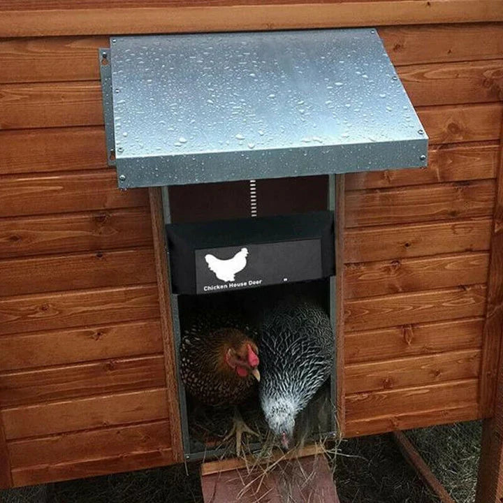 HenSafe – Automatic Chicken Coop Door