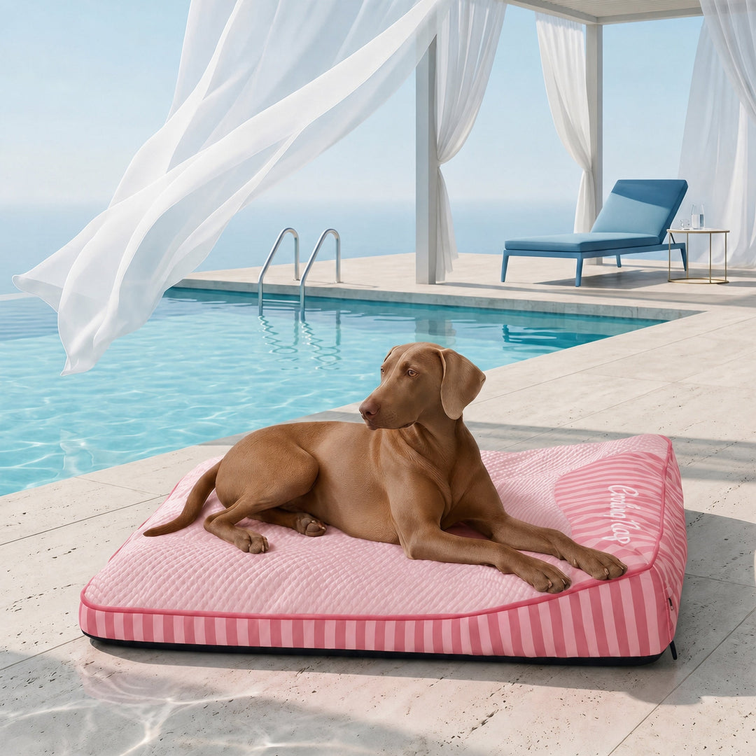 Cooling Orthopedic Dog Bed | Ice Silk Summer Bed | Memory Foam Joint Support | Washable Cover | Non-Slip | for Senior Dogs