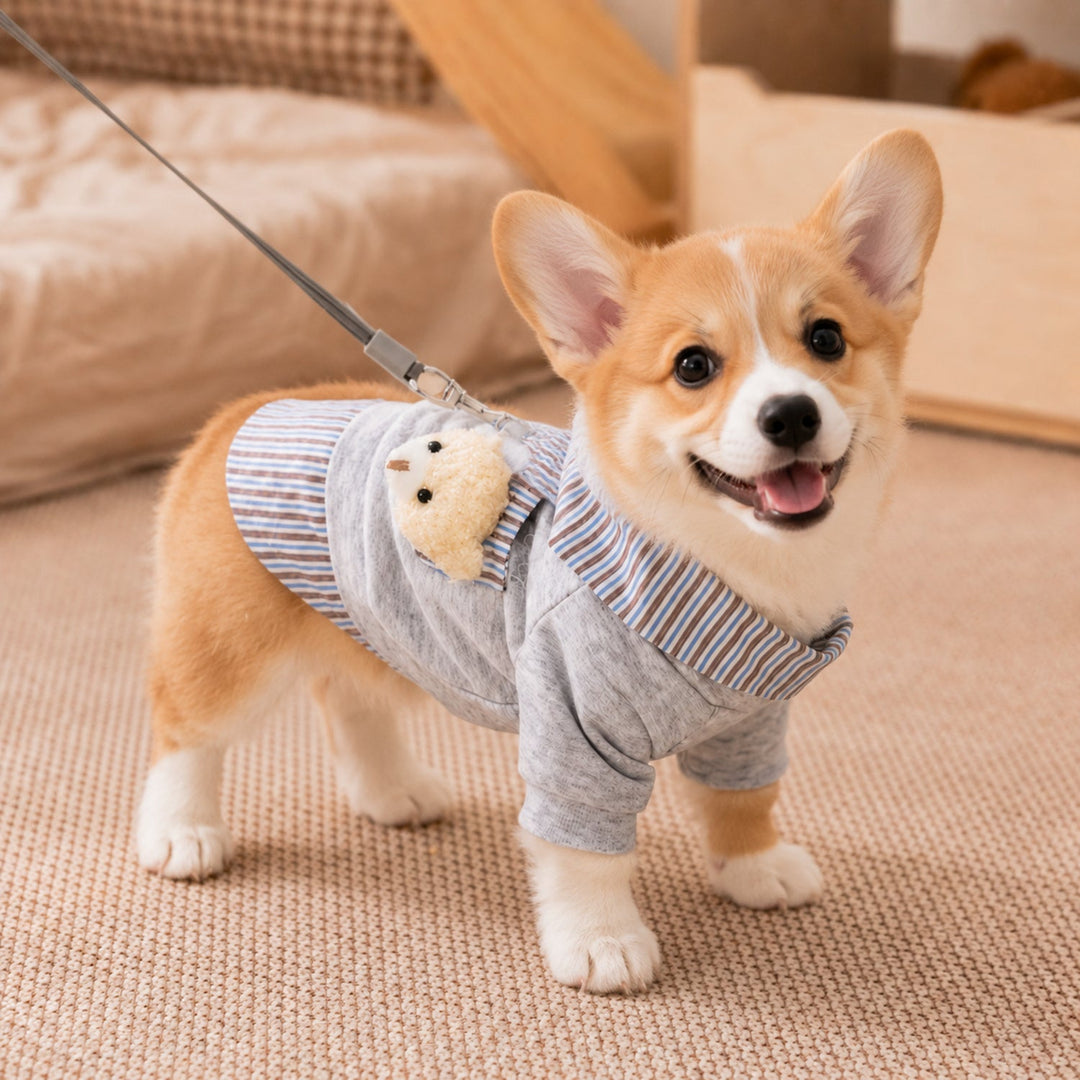 Teddy Bear Pocket Pet Coat | Striped Collar | Cosy Layered-Look Outfit